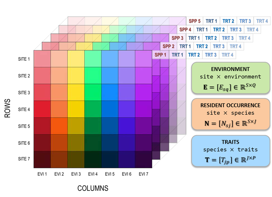 Invasibility Cube data structure