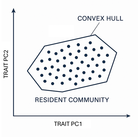Trait-space geometry